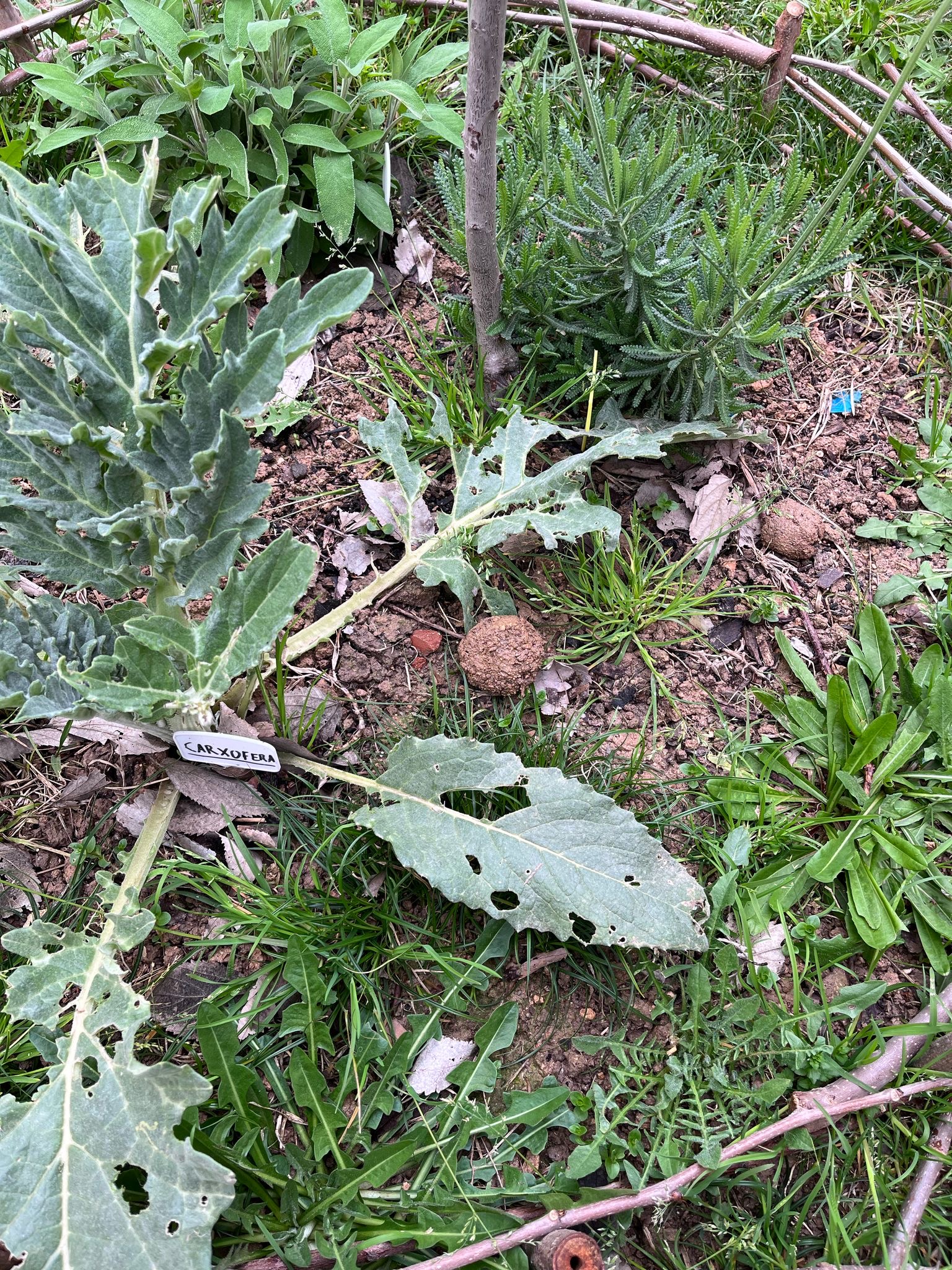 7e86060f-34f5-4582-8e05-ce3939f39246