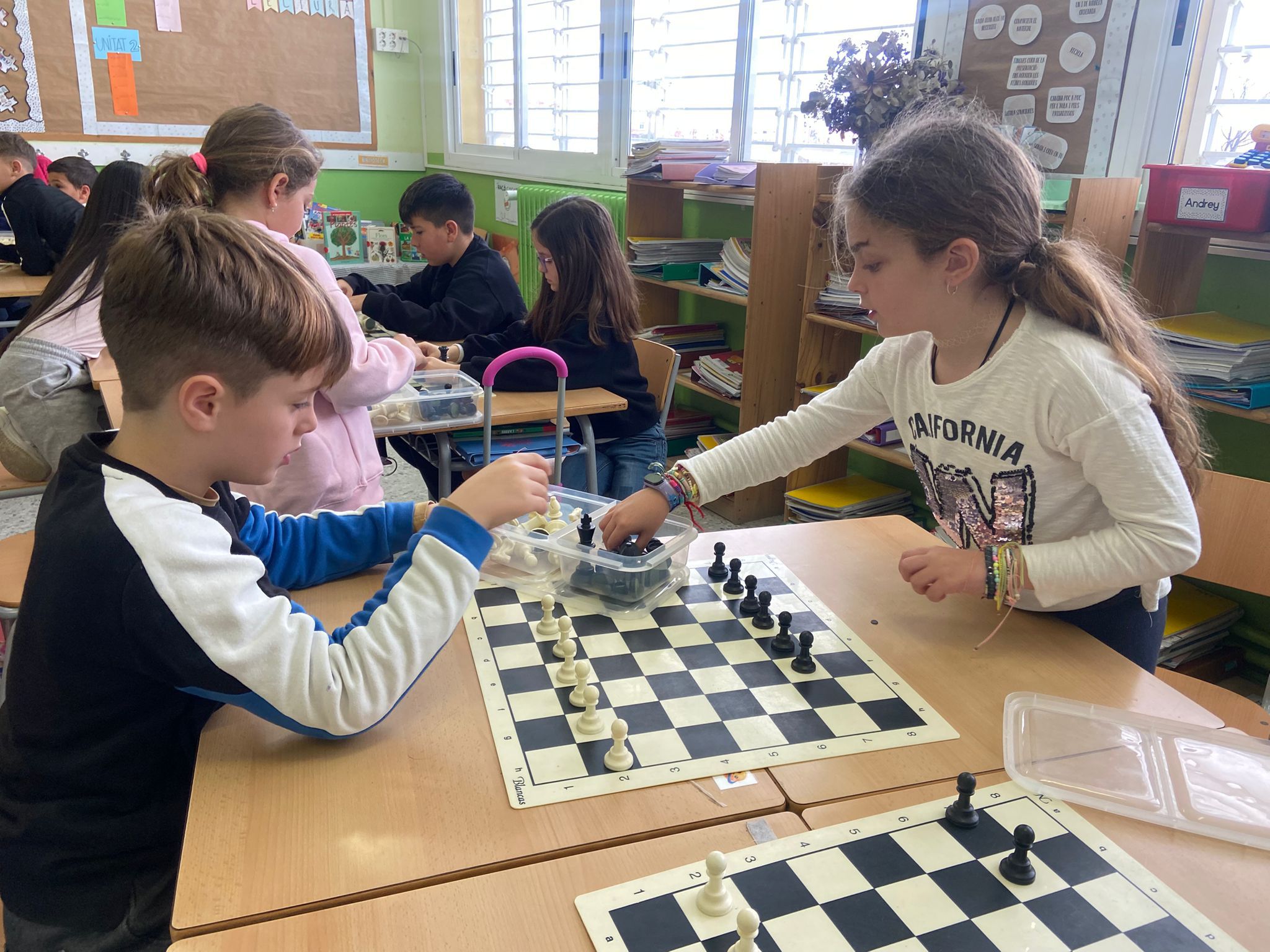 WhatsApp Image 2025-03-14 at 12.34.27 (3)