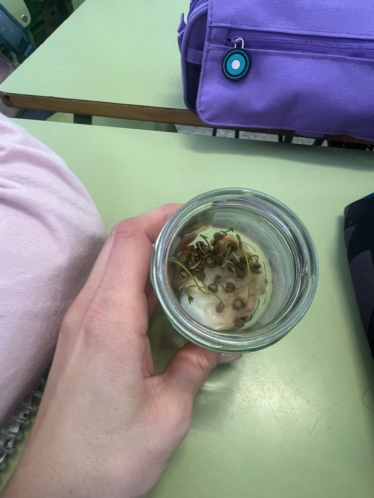 WhatsApp Image 2025-03-27 at 18.15.36