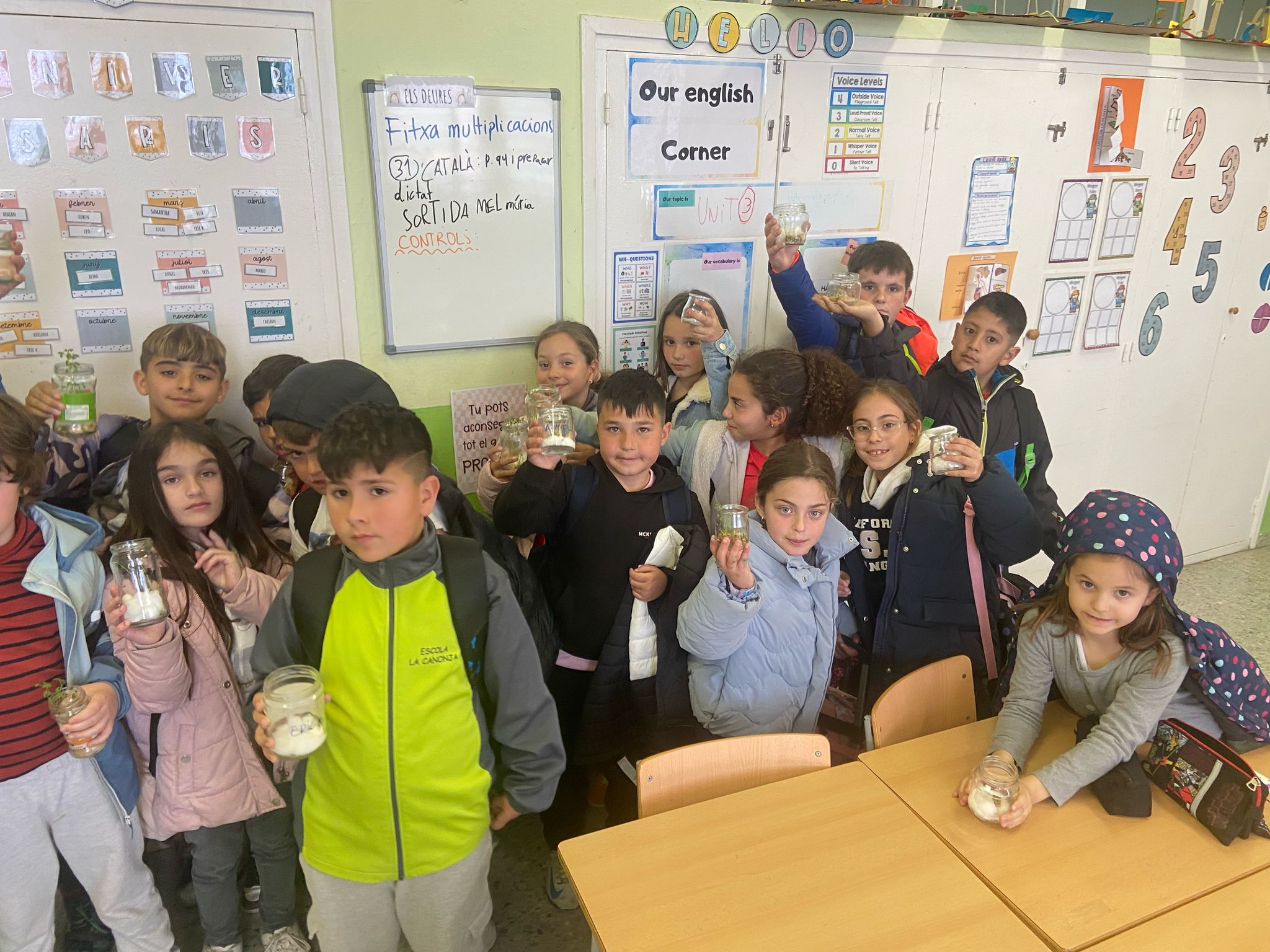 WhatsApp Image 2025-03-27 at 18.28.14