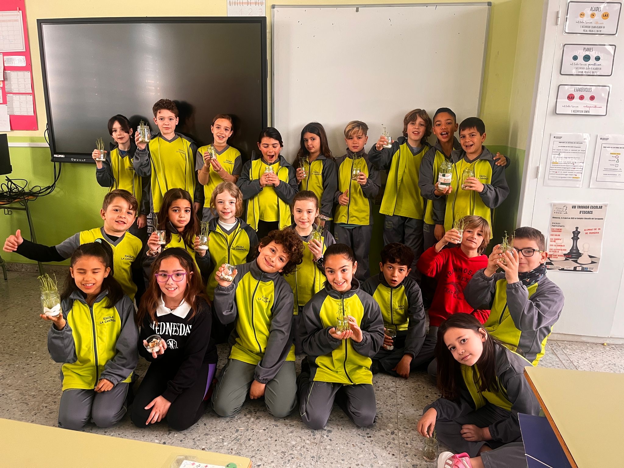 a3303f73-a296-47d7-9cce-fc32ee1337de