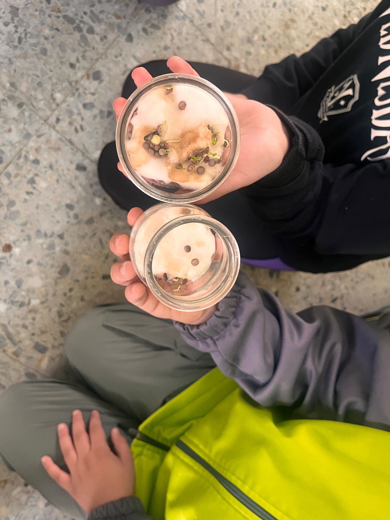 b1be79e8-8b5a-438c-a78f-61f360224135