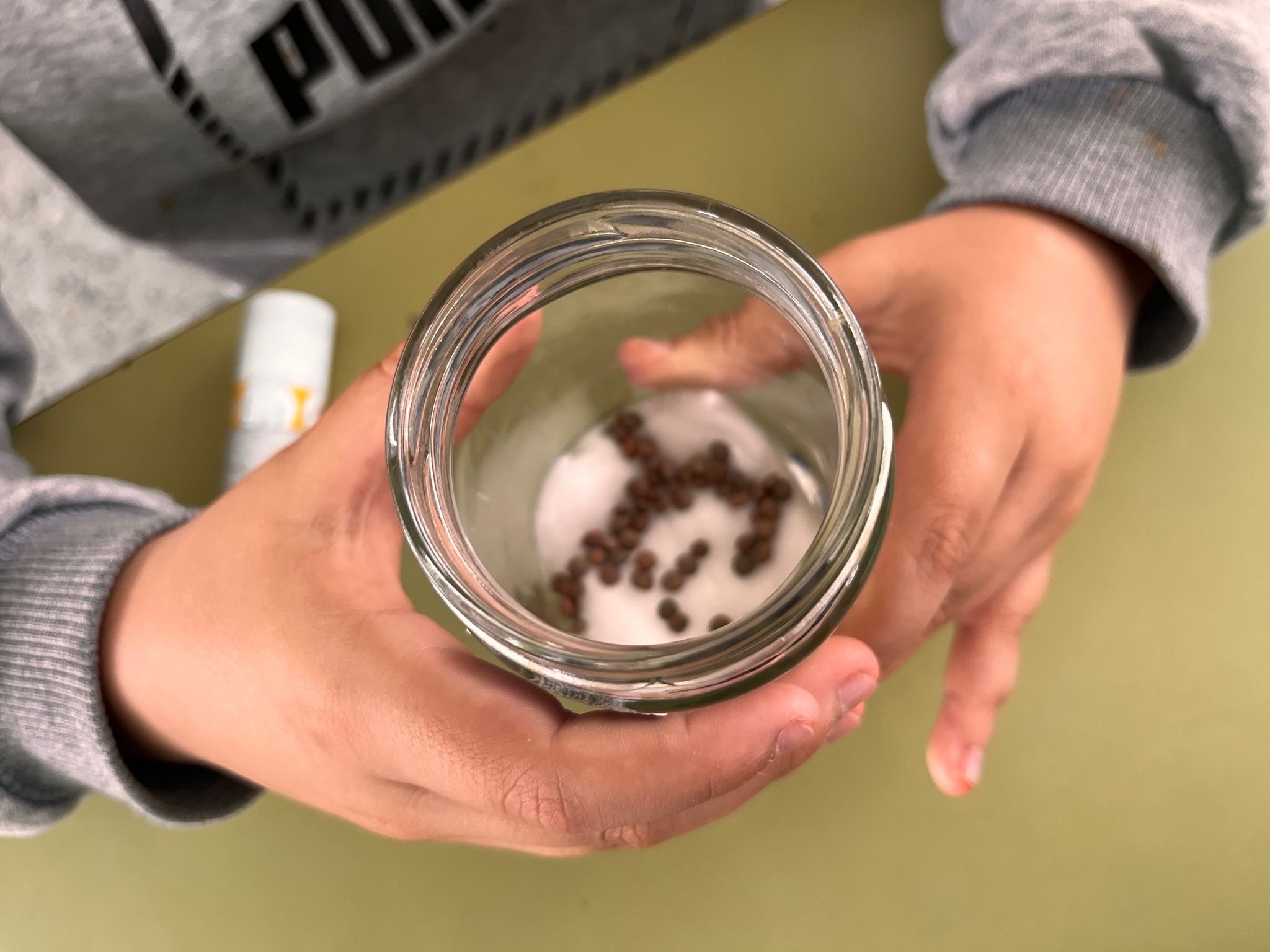 d78a5dd7-3b31-4102-b132-53fac0093df5