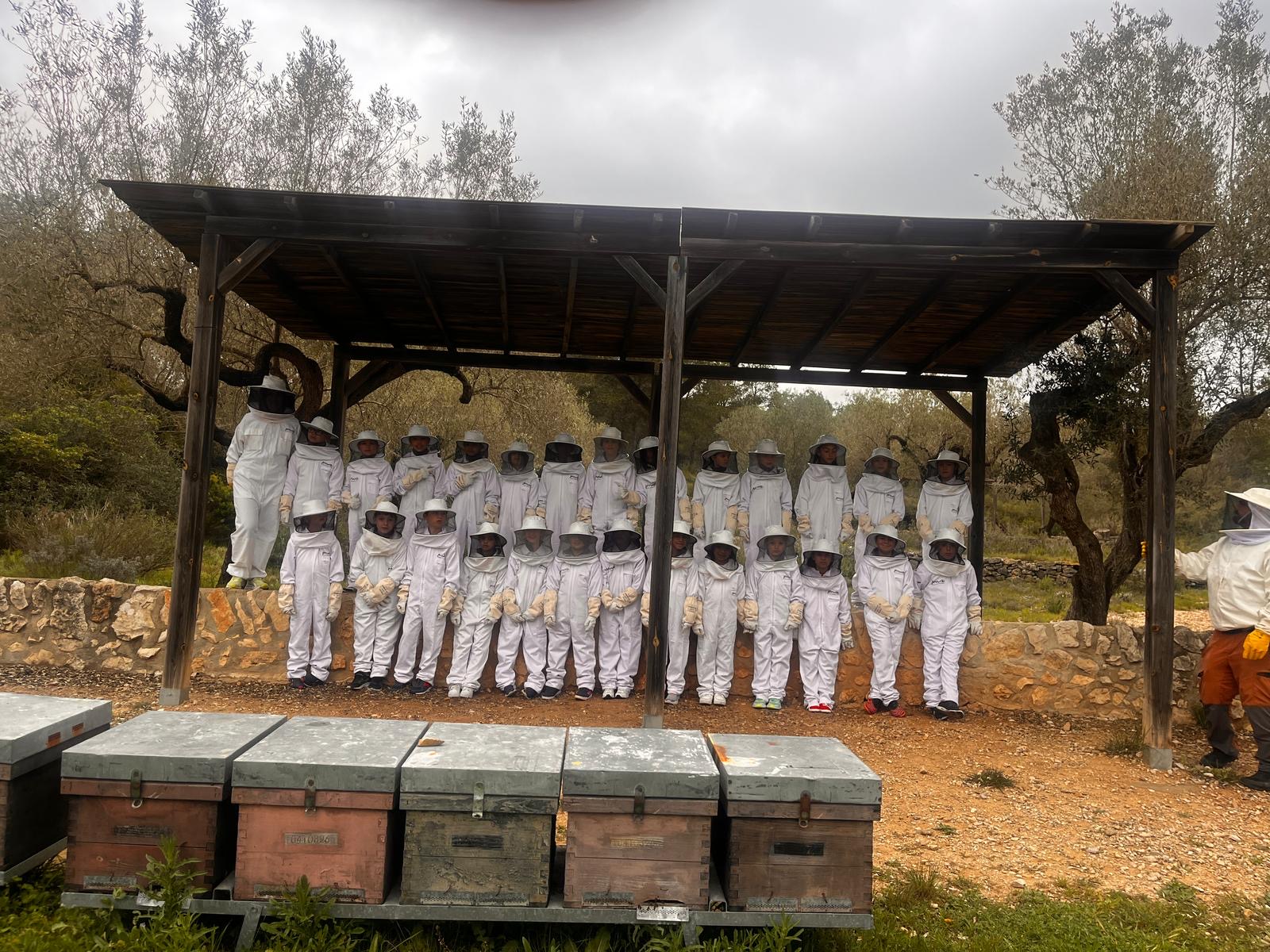 520c76a7-4f89-473b-b312-f911c2ca5c96