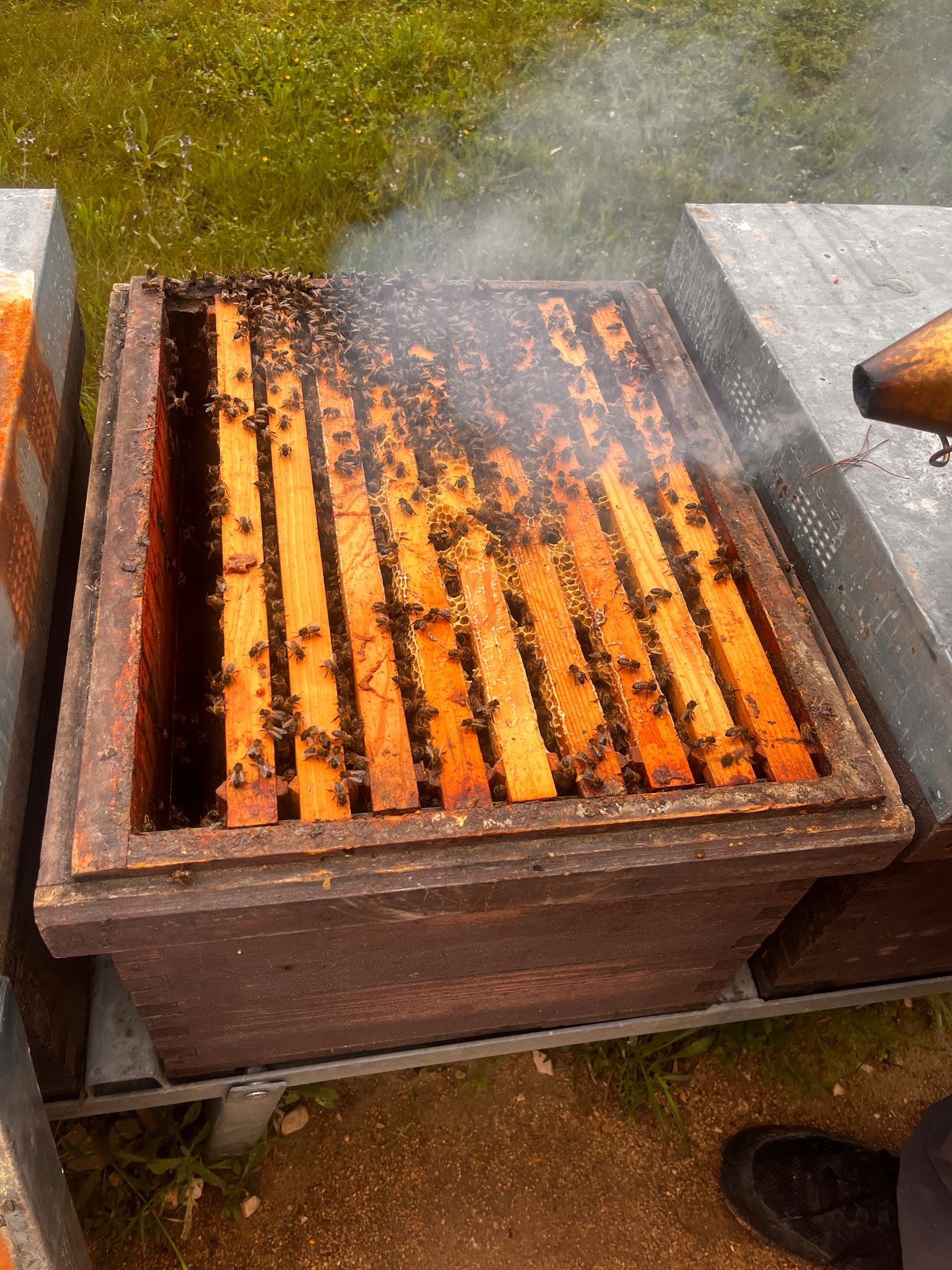 8a9d4860-8818-42a1-94ba-c4a9d986300c