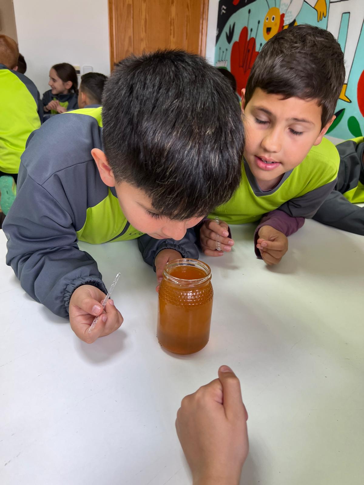 WhatsApp Image 2025-04-03 at 17.16.30-2