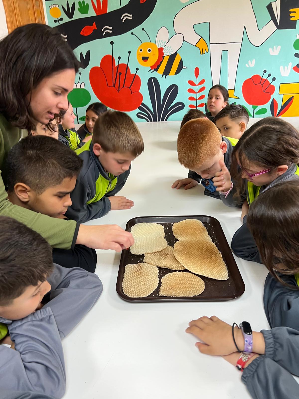 WhatsApp Image 2025-04-03 at 17.16.30-4