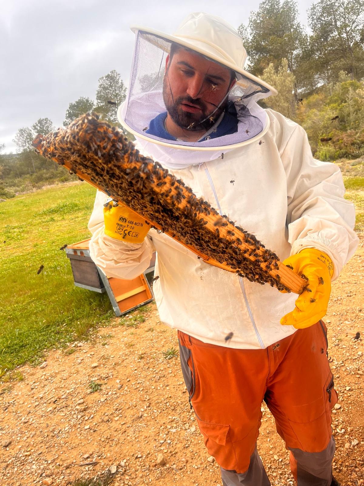 WhatsApp Image 2025-04-03 at 17.16.30-8