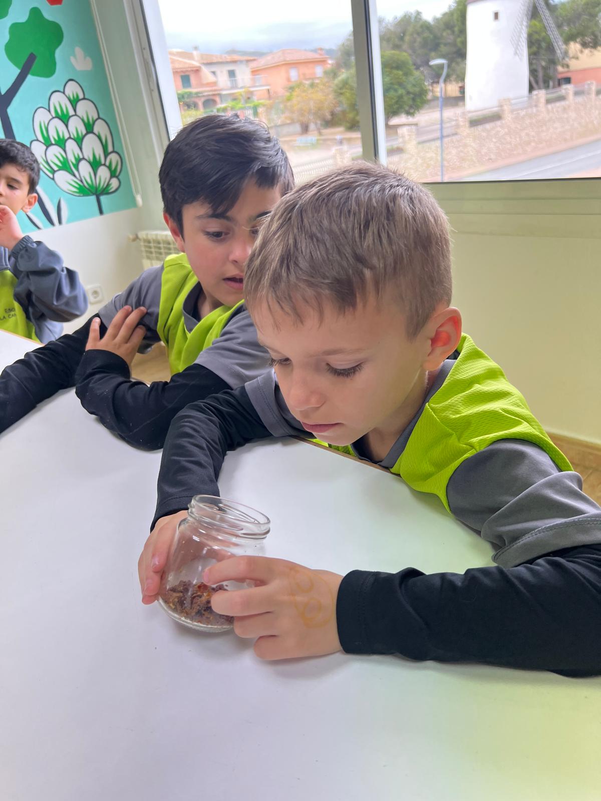 WhatsApp Image 2025-04-03 at 17.28.18