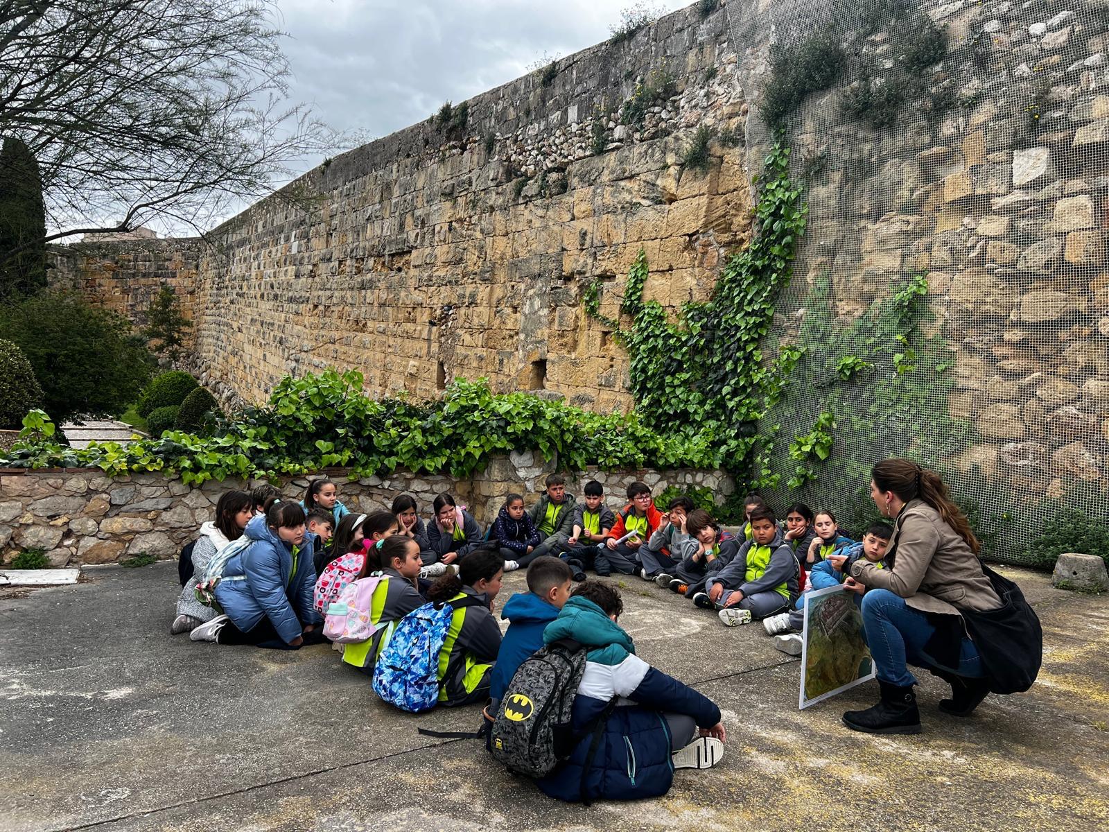 WhatsApp Image 2025-04-05 at 10.58.33-2