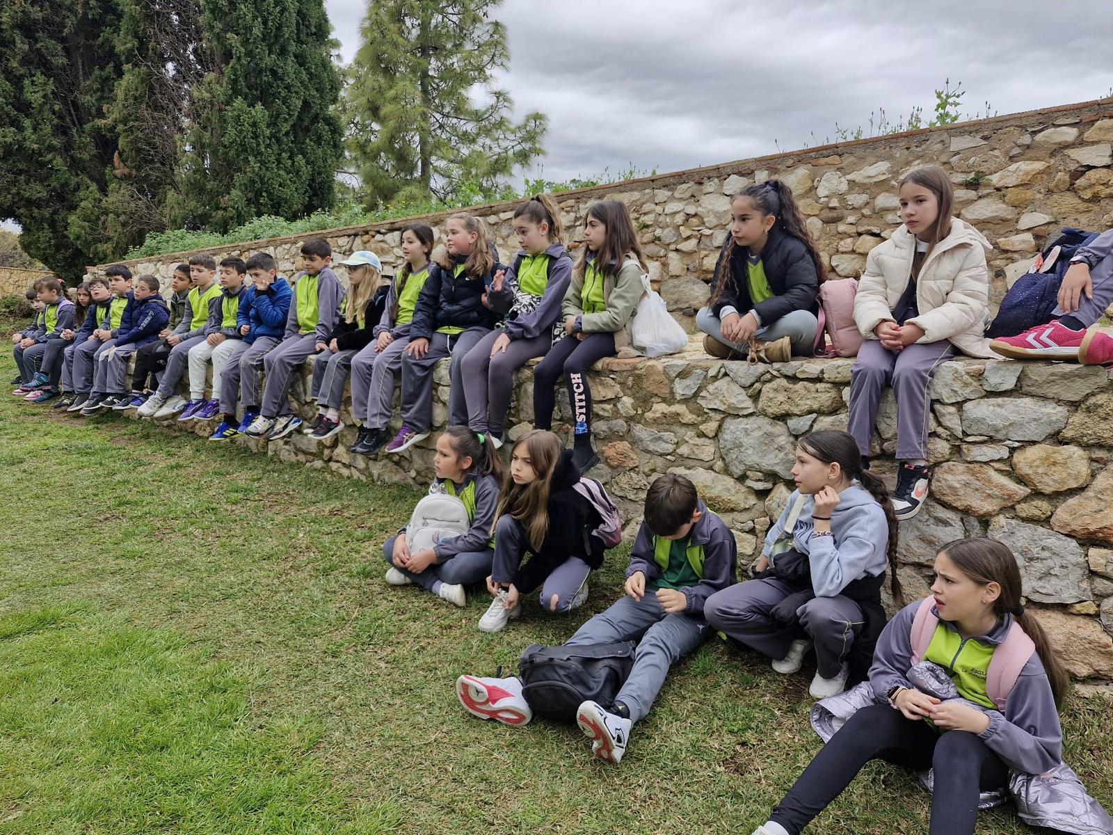 WhatsApp Image 2025-04-05 at 10.58.33-7