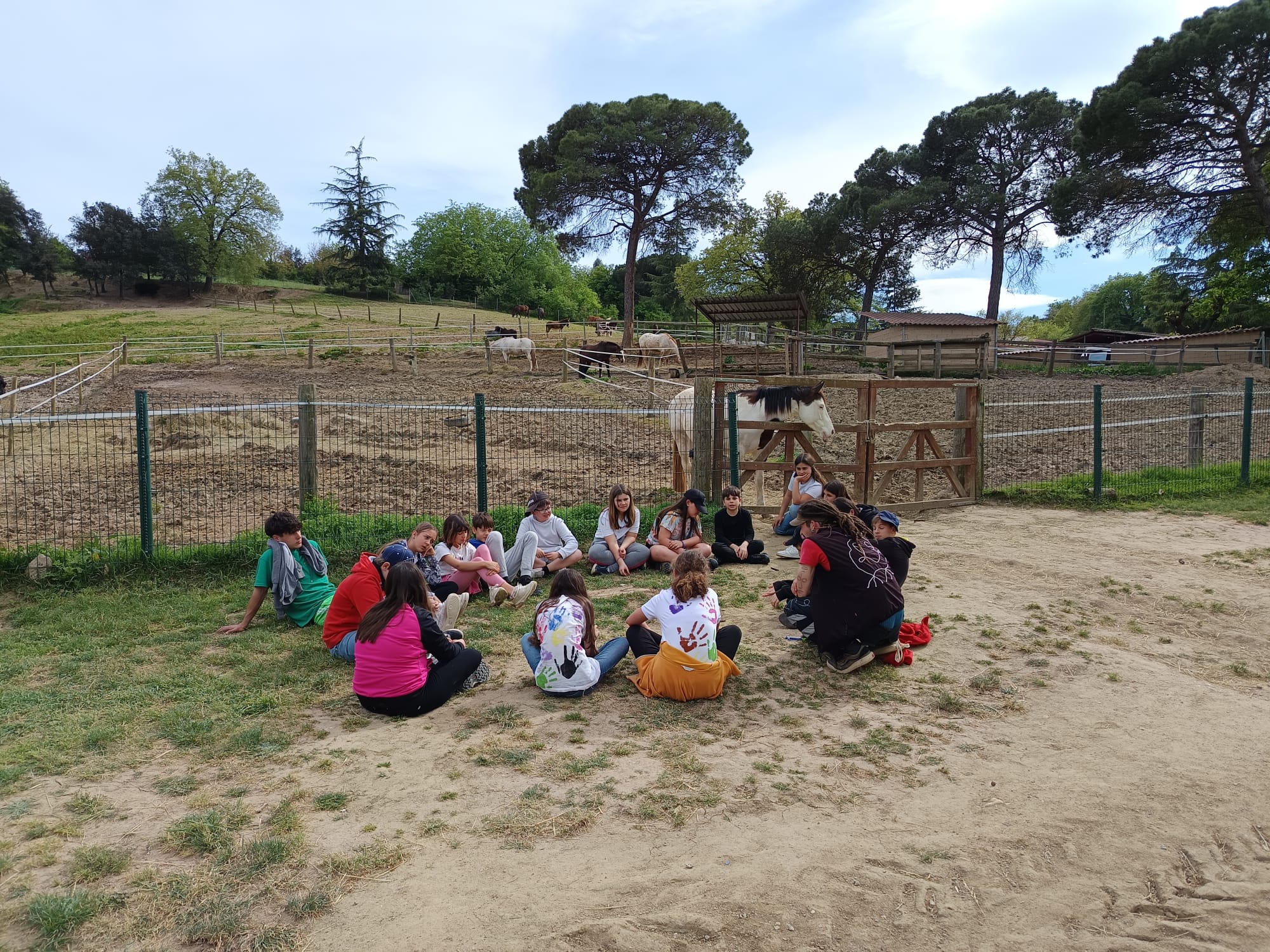 WhatsApp Image 2025-04-23 at 17.51.42