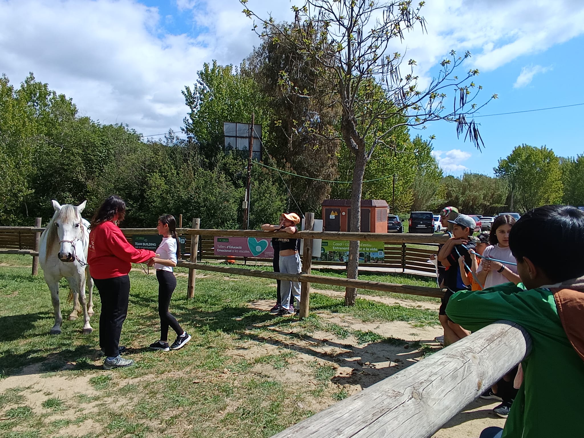 WhatsApp Image 2025-04-24 at 15.43.45