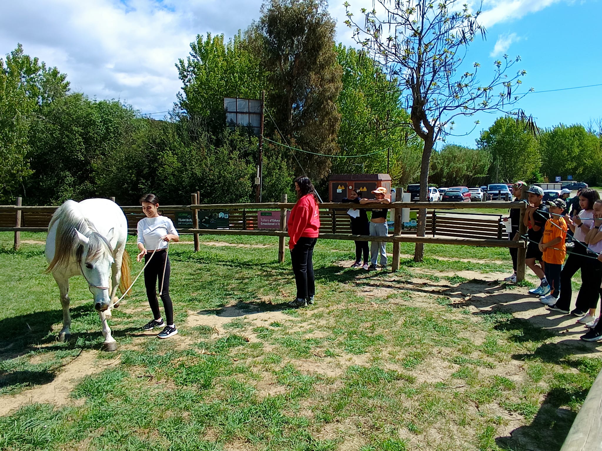 WhatsApp Image 2025-04-24 at 15.44.25