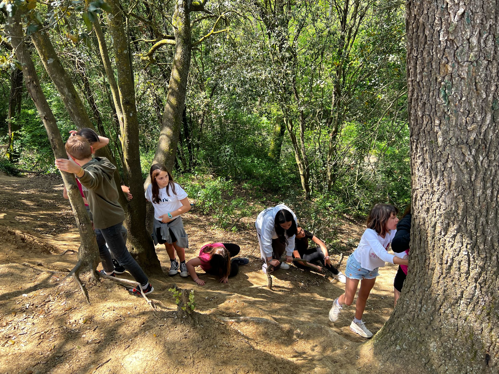 WhatsApp Image 2025-04-25 at 14.53.12