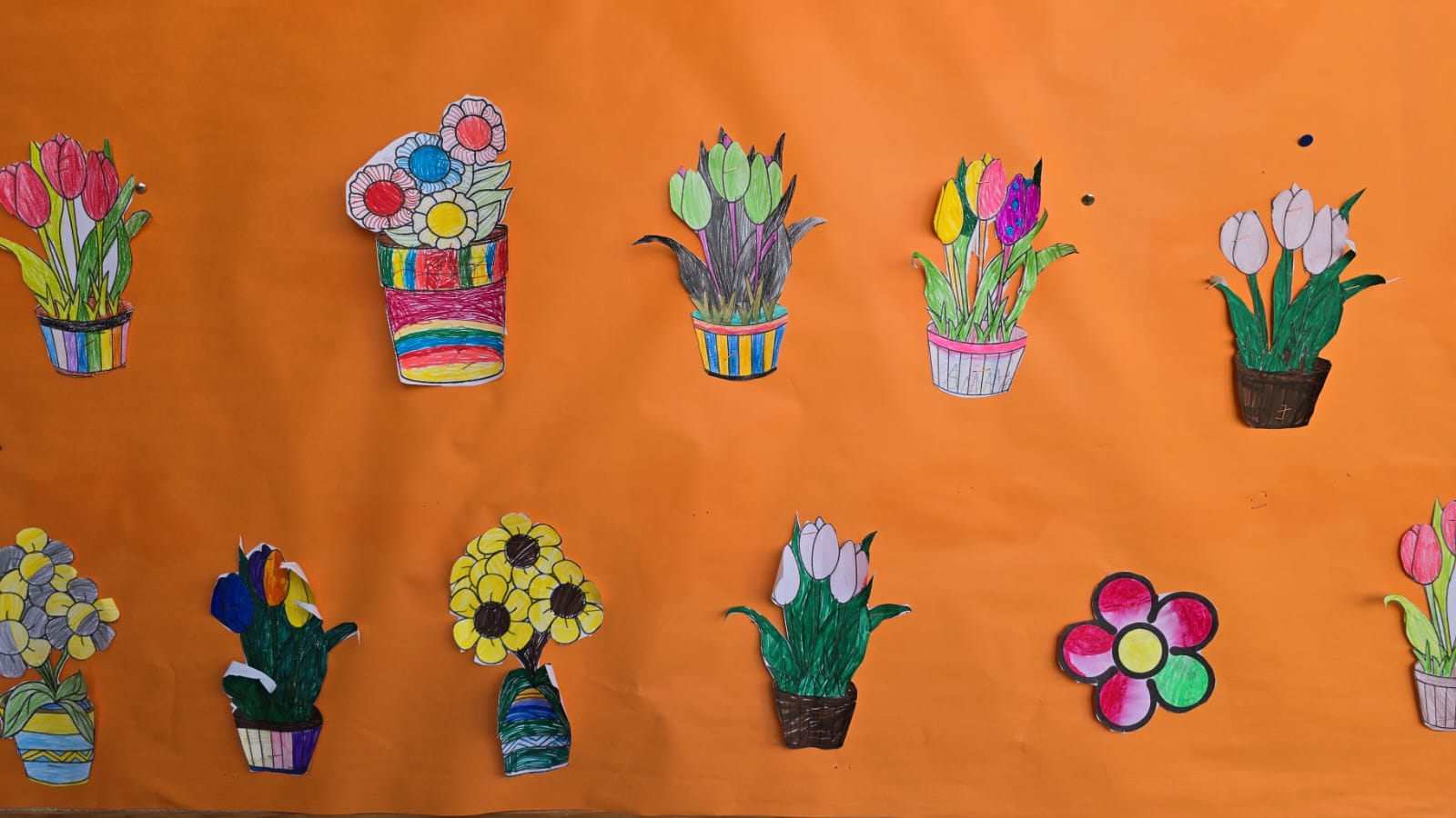 WhatsApp Image 2025-05-06 at 12.37.11 (1)