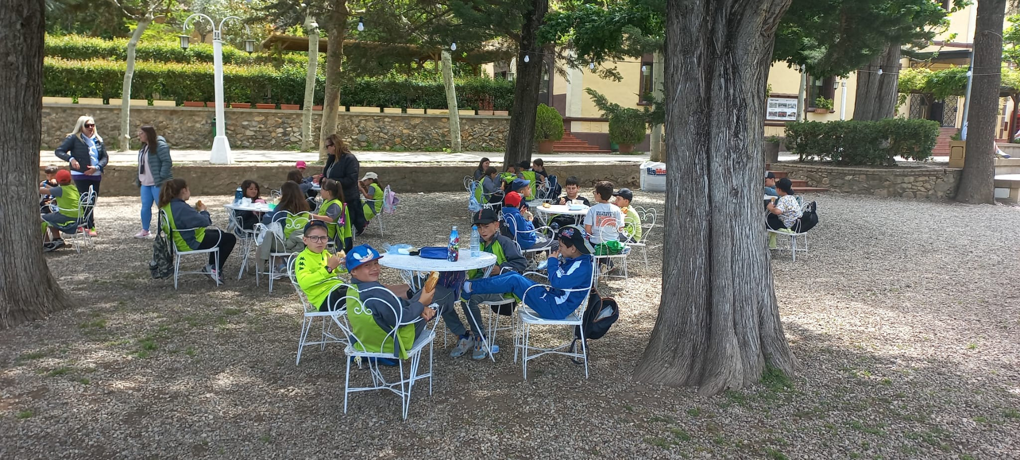 WhatsApp Image 2025-05-07 at 12.06.43(3)