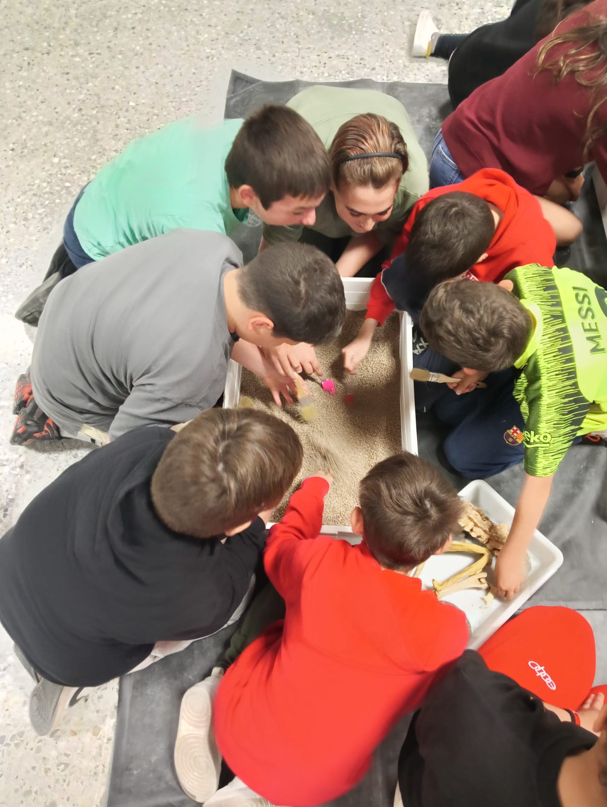 WhatsApp Image 2025-05-08 at 14.53.20 (2)