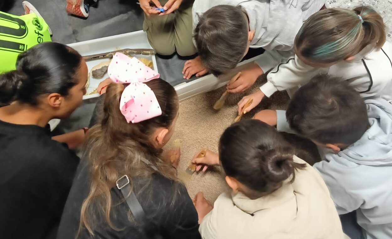 WhatsApp Image 2025-05-08 at 14.53.20 (3)