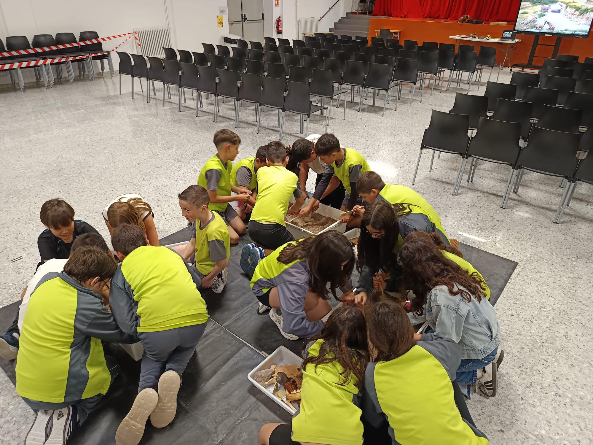 WhatsApp Image 2025-05-08 at 14.53.37