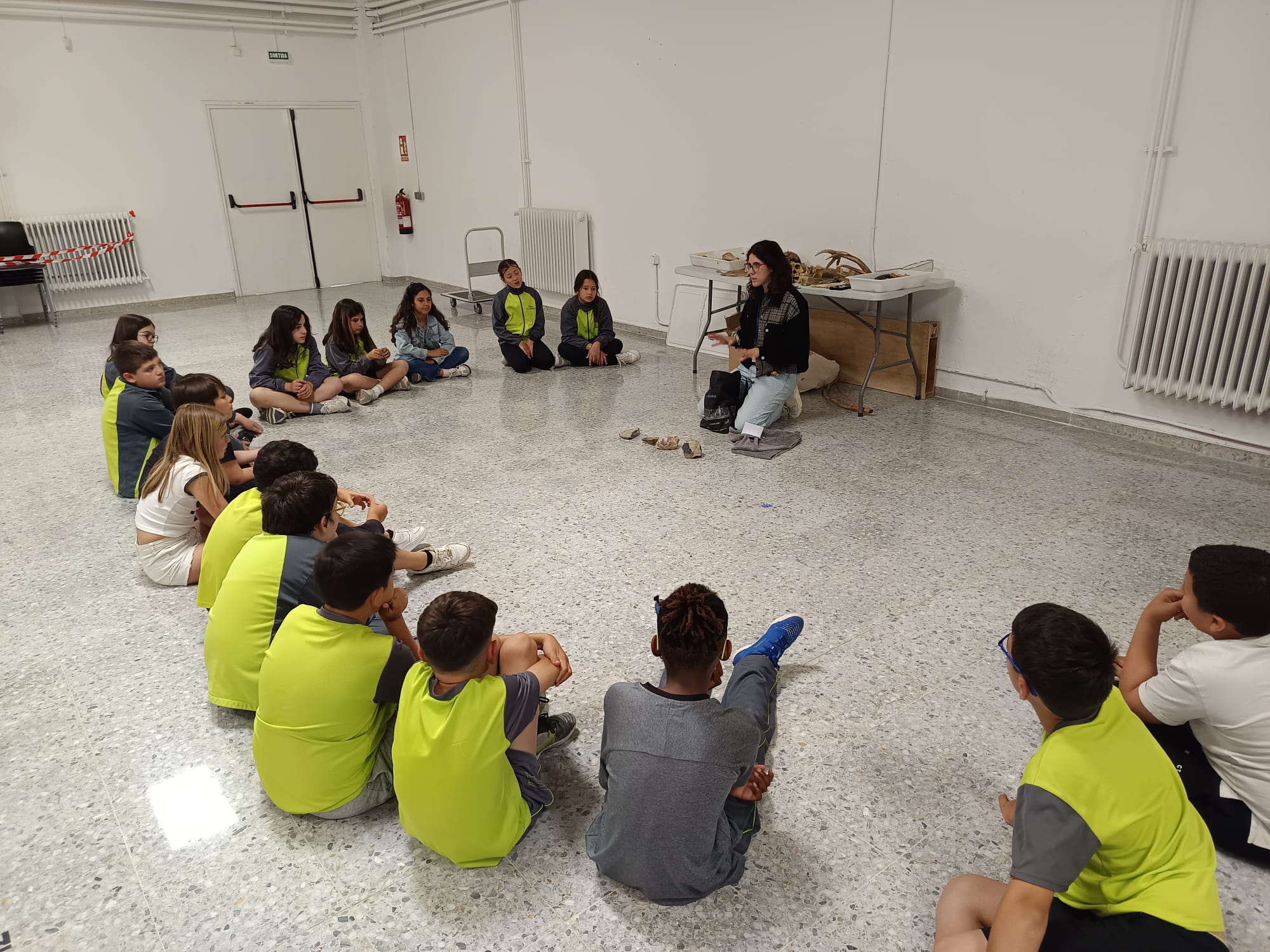 WhatsApp Image 2025-05-08 at 14.53.38 (1)