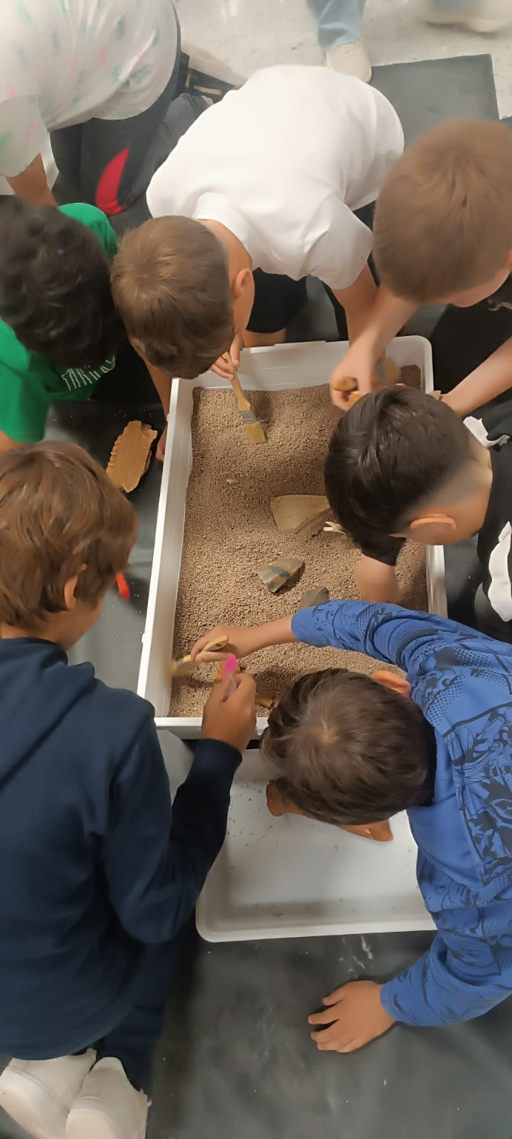 WhatsApp Image 2025-05-08 at 16.04.02