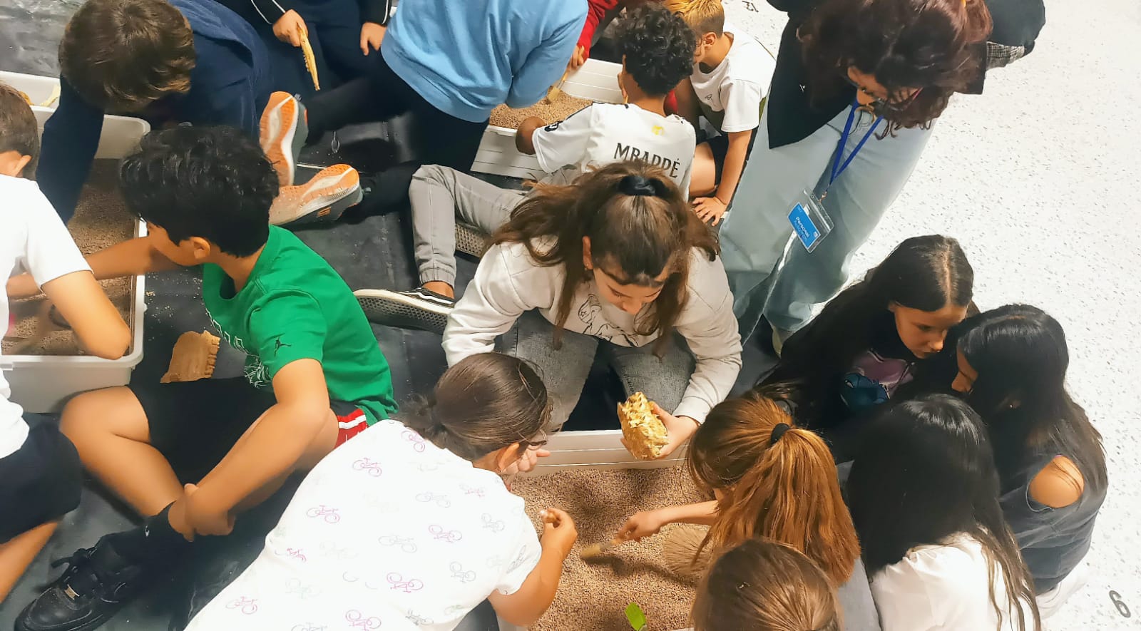 WhatsApp Image 2025-05-08 at 16.05.26