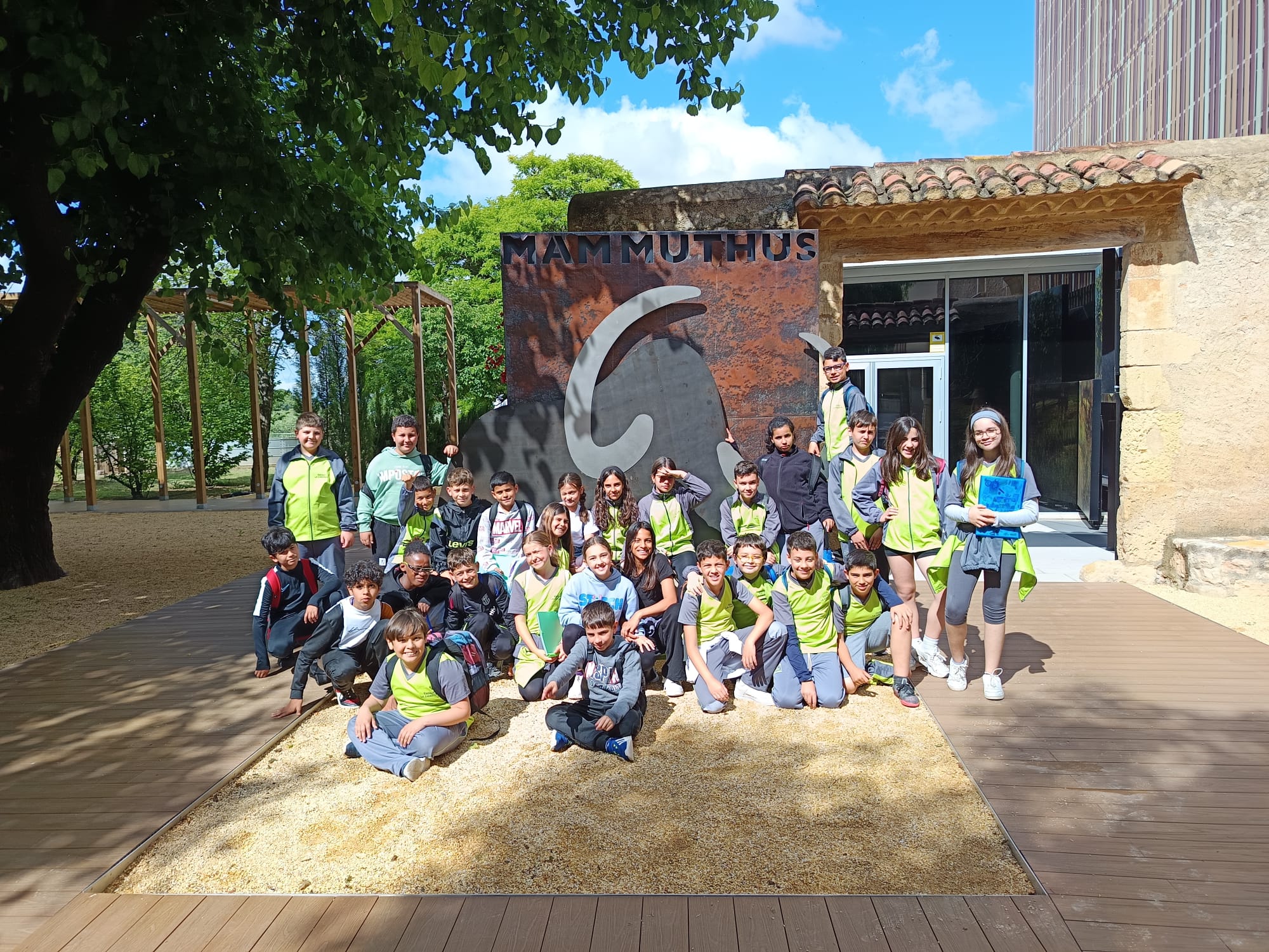 WhatsApp Image 2025-05-09 at 12.50.37