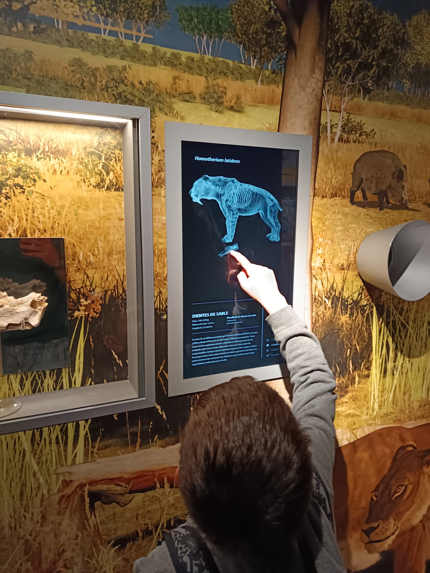 WhatsApp Image 2025-05-09 at 12.50.38