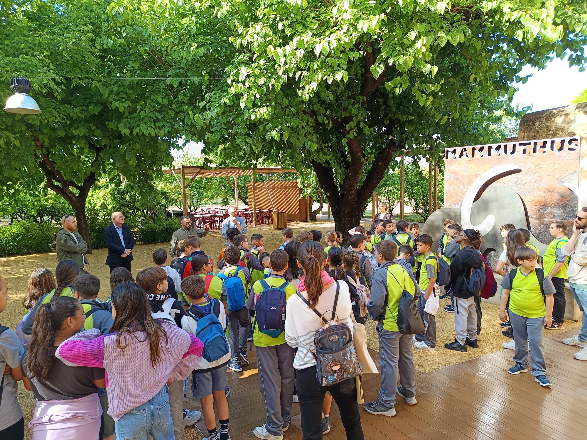 WhatsApp Image 2025-05-09 at 12.50.40