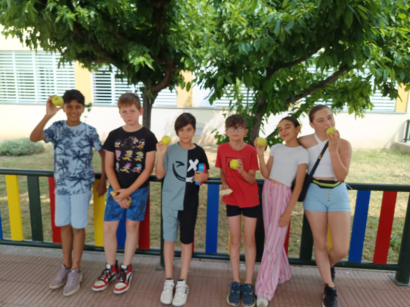 WhatsApp Image 2025-06-05 at 11.08.29