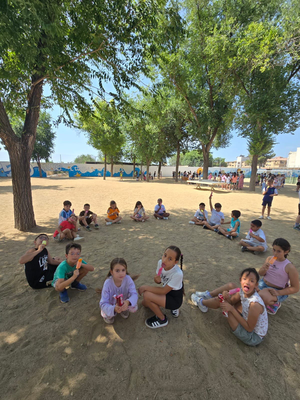 WhatsApp Image 2025-06-20 at 11.17.28 (1)