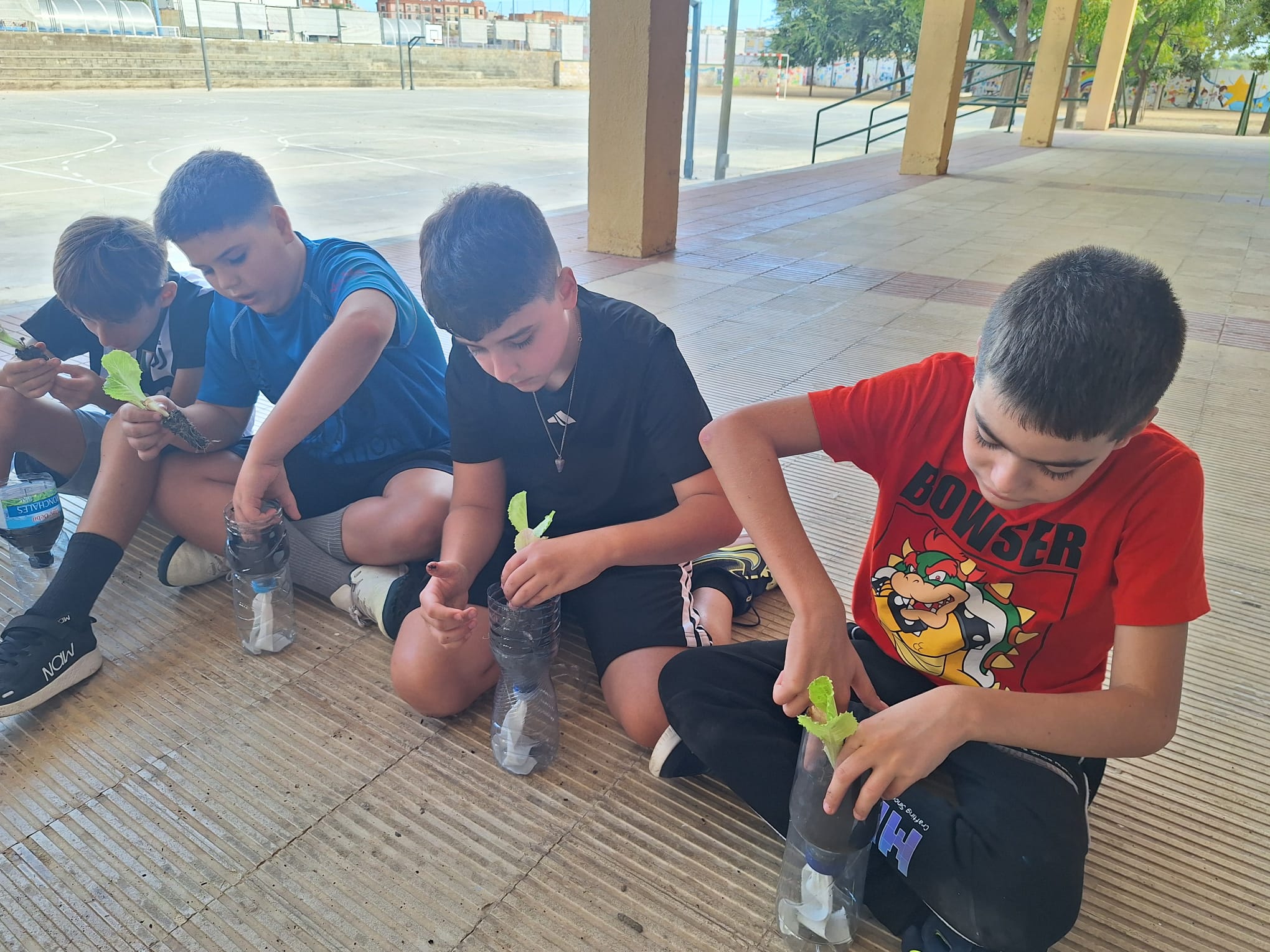 WhatsApp Image 2025-10-09 at 11.24.52