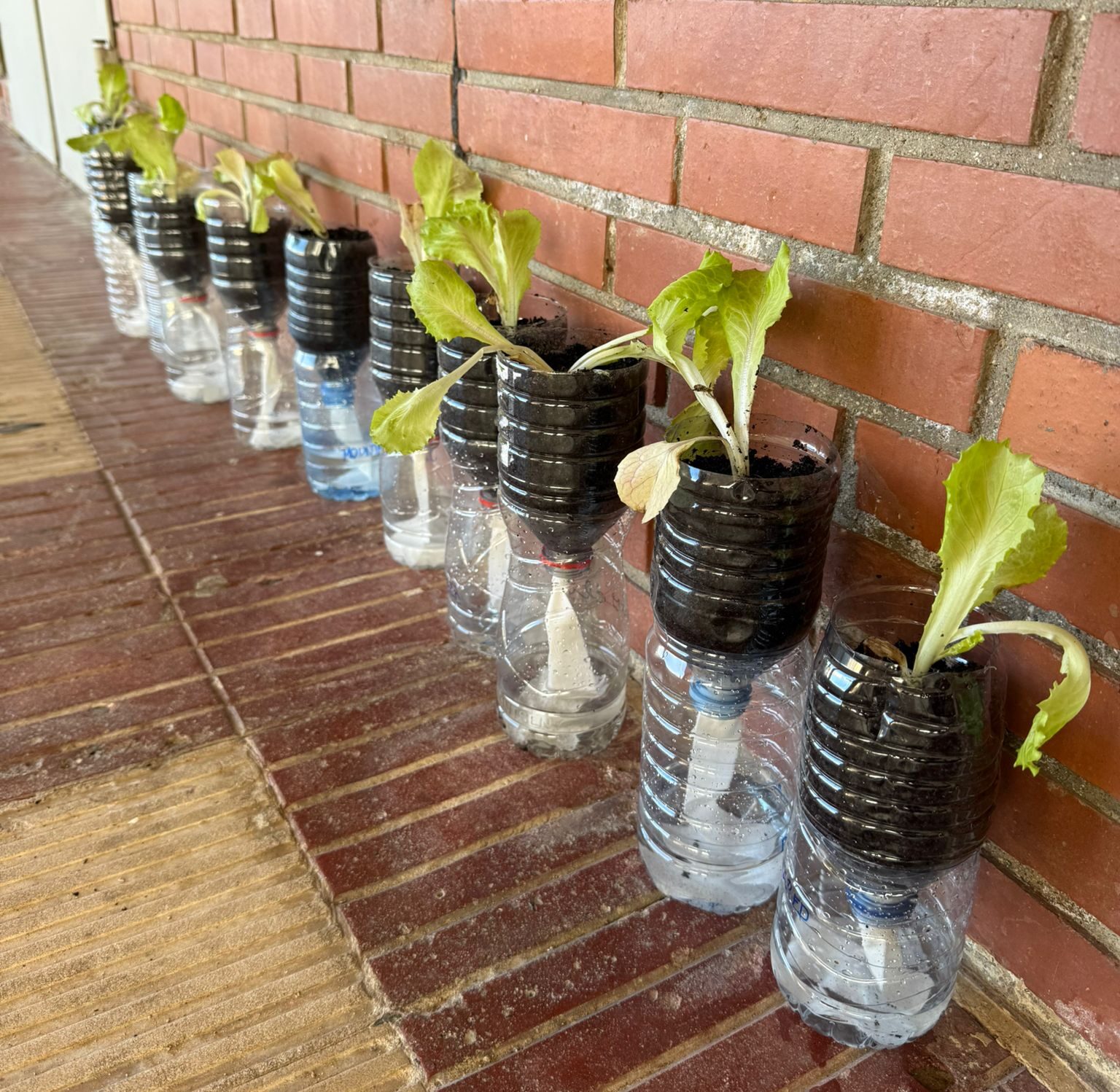 WhatsApp Image 2025-10-15 at 16.28.31