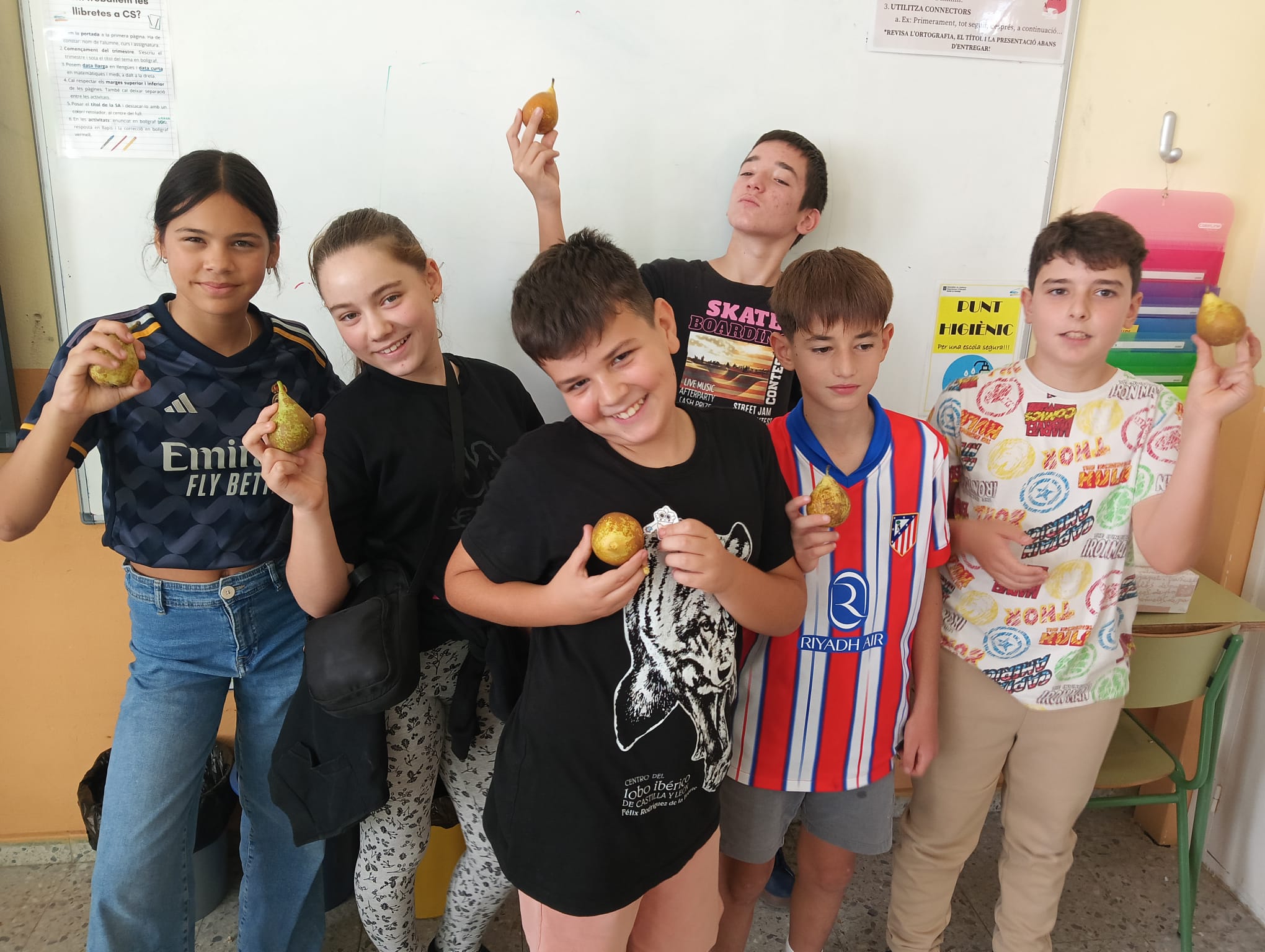 WhatsApp Image 2025-10-22 at 11.50.22