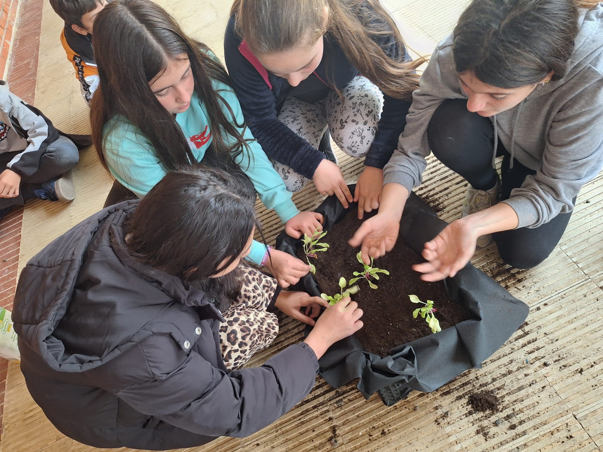 WhatsApp Image 2025-11-04 at 09.01.33