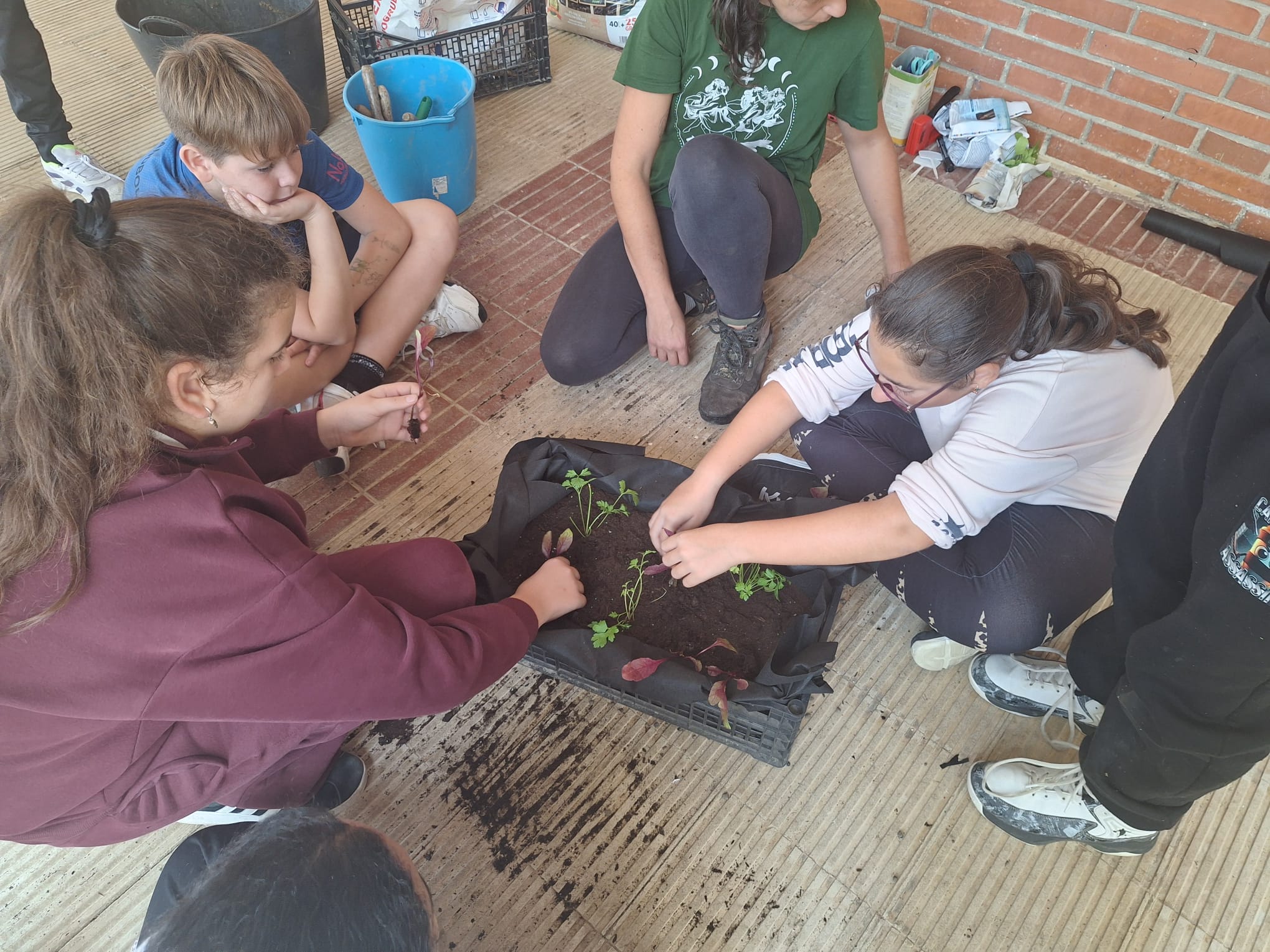 WhatsApp Image 2025-11-05 at 16.35.39