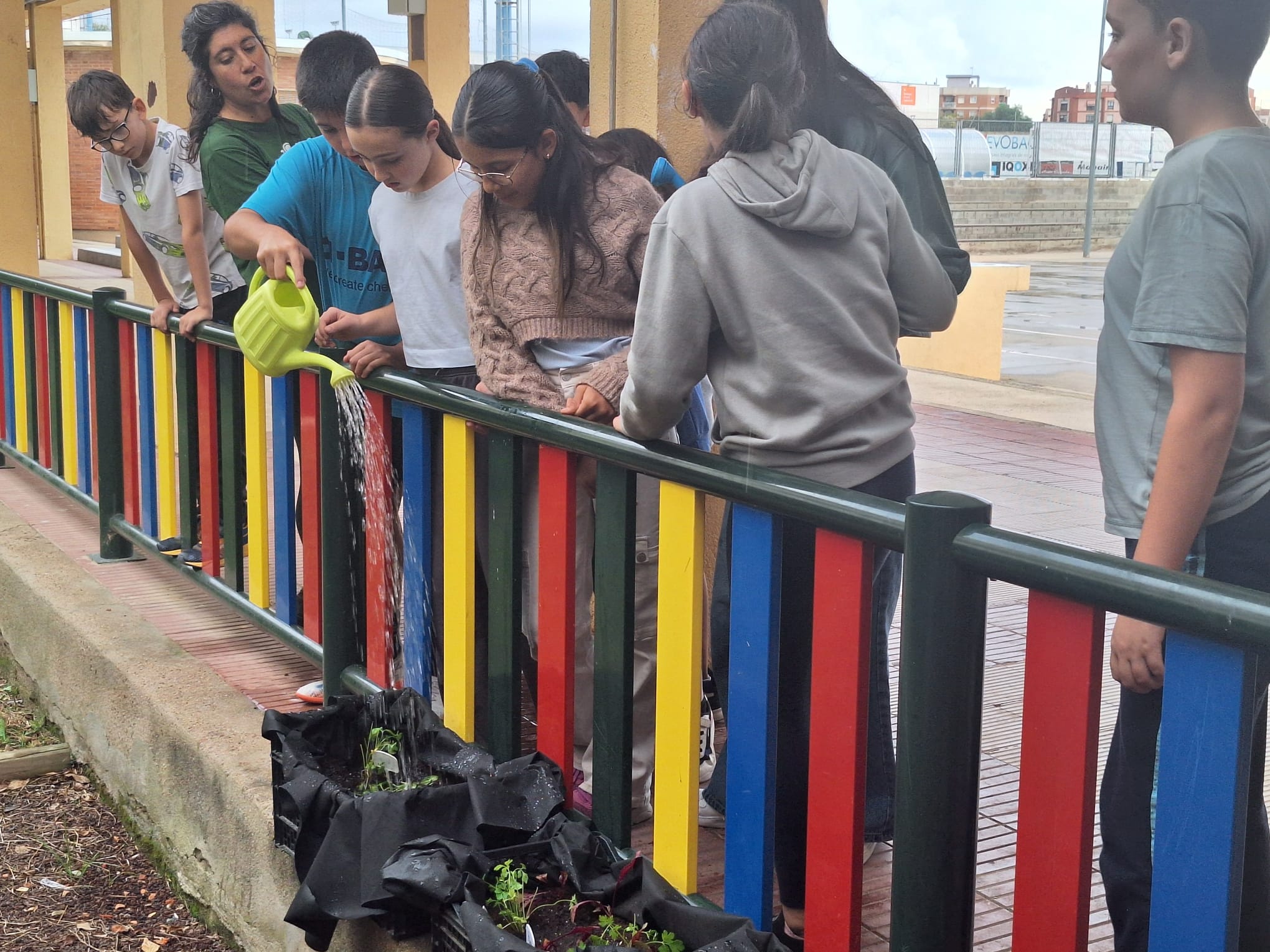 WhatsApp Image 2025-11-05 at 16.35.43