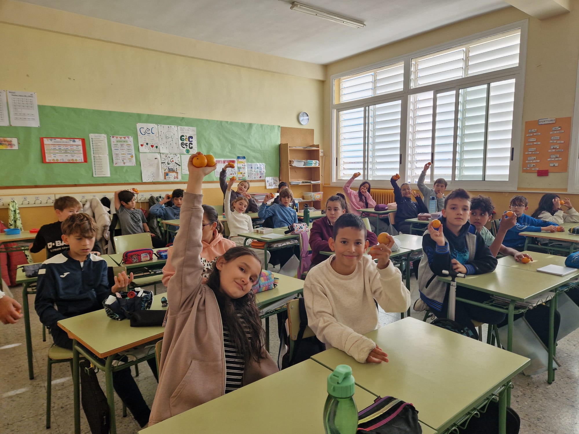 WhatsApp Image 2025-11-19 at 12.25.48