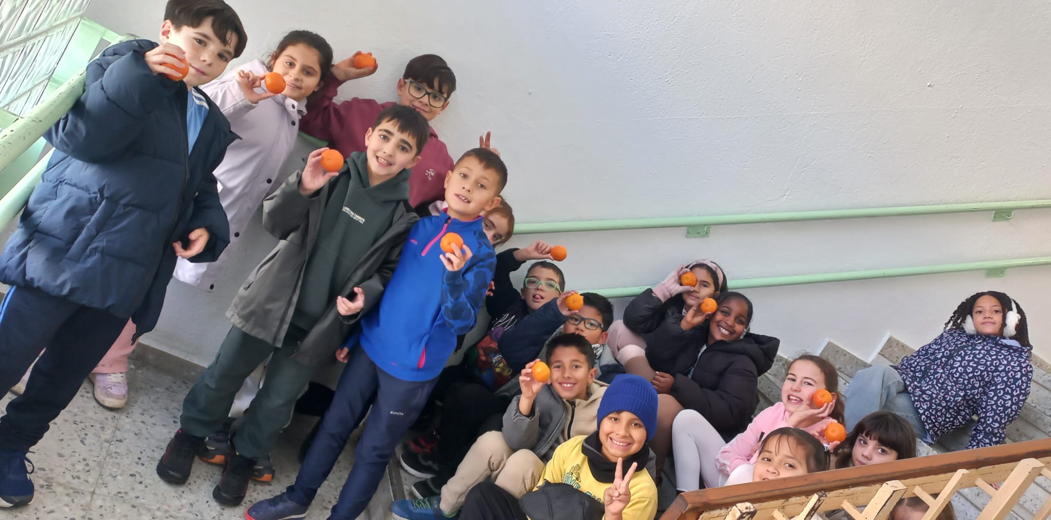 WhatsApp Image 2026-01-22 at 11.38.54