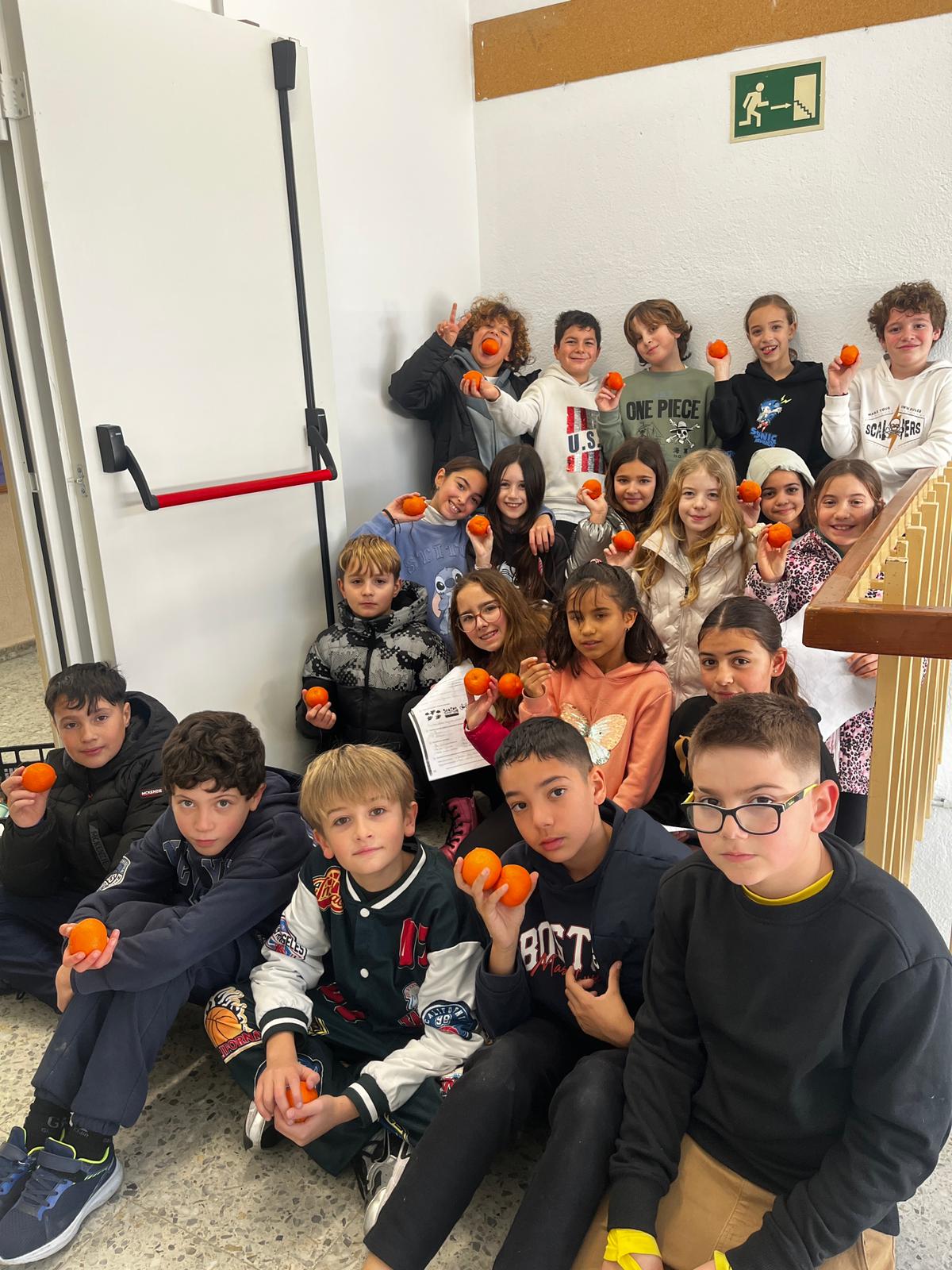 WhatsApp Image 2026-01-22 at 11.51.35