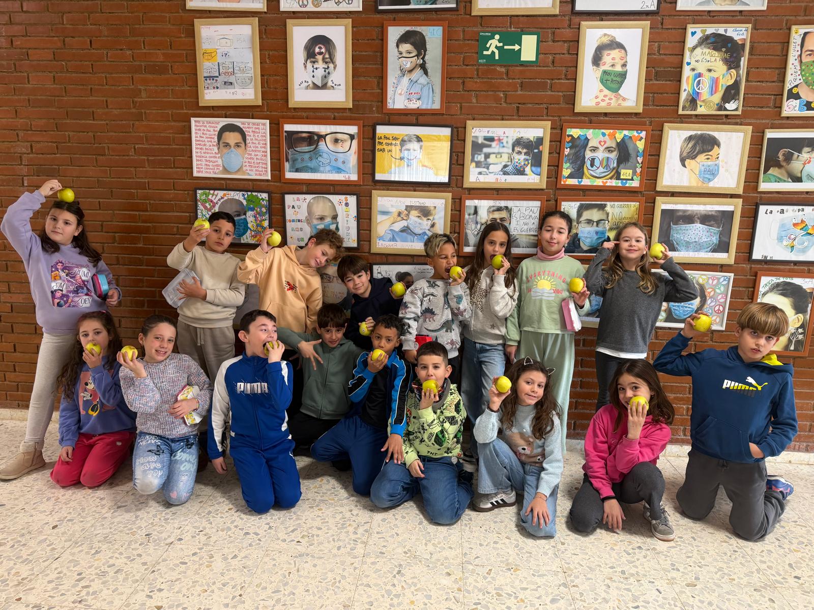 WhatsApp Image 2026-01-23 at 11.39.55