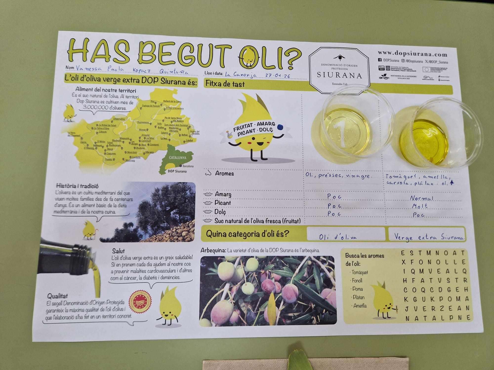 WhatsApp Image 2026-01-27 at 11.34.18