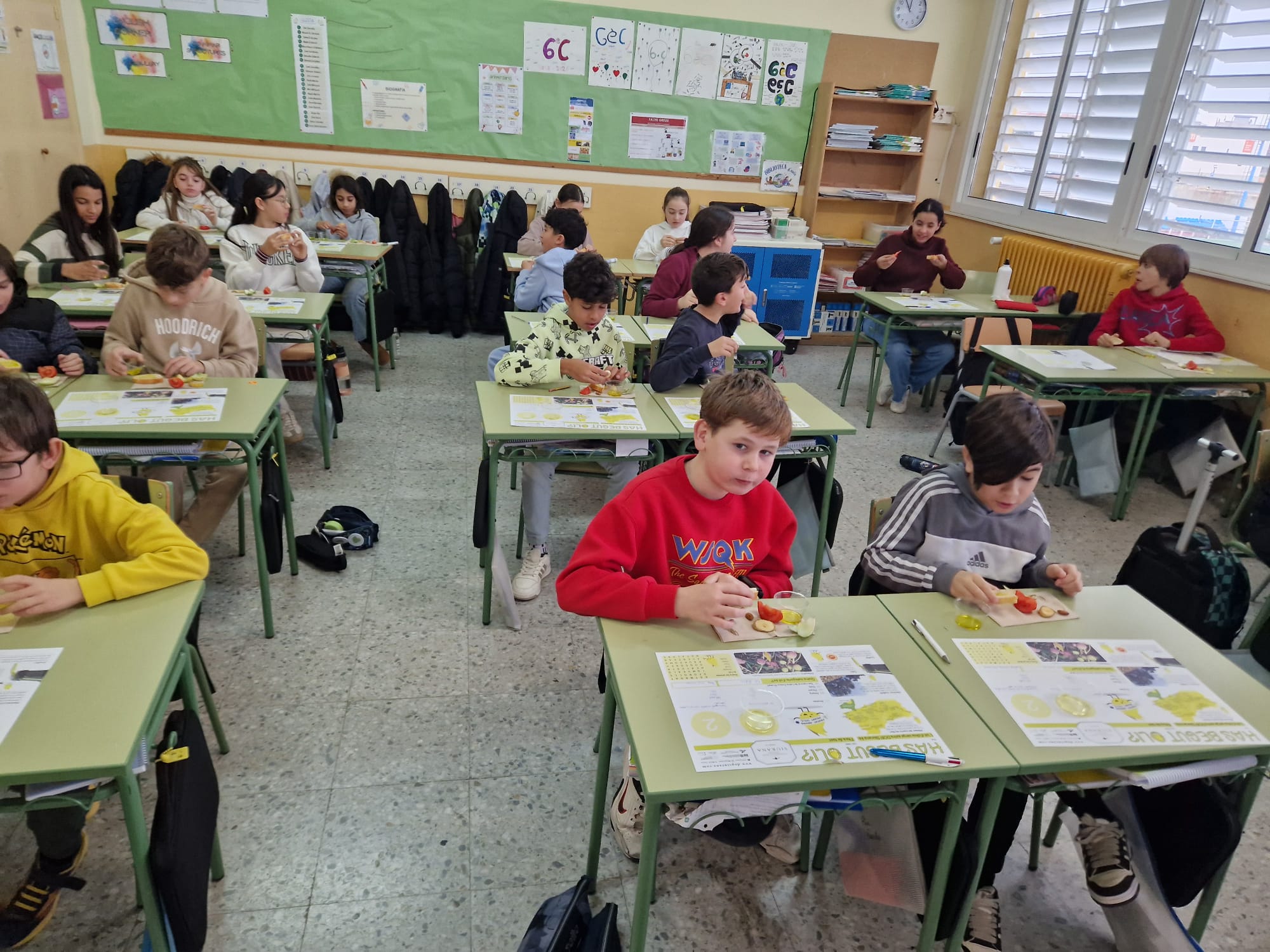 WhatsApp Image 2026-01-27 at 11.34.19 (1)