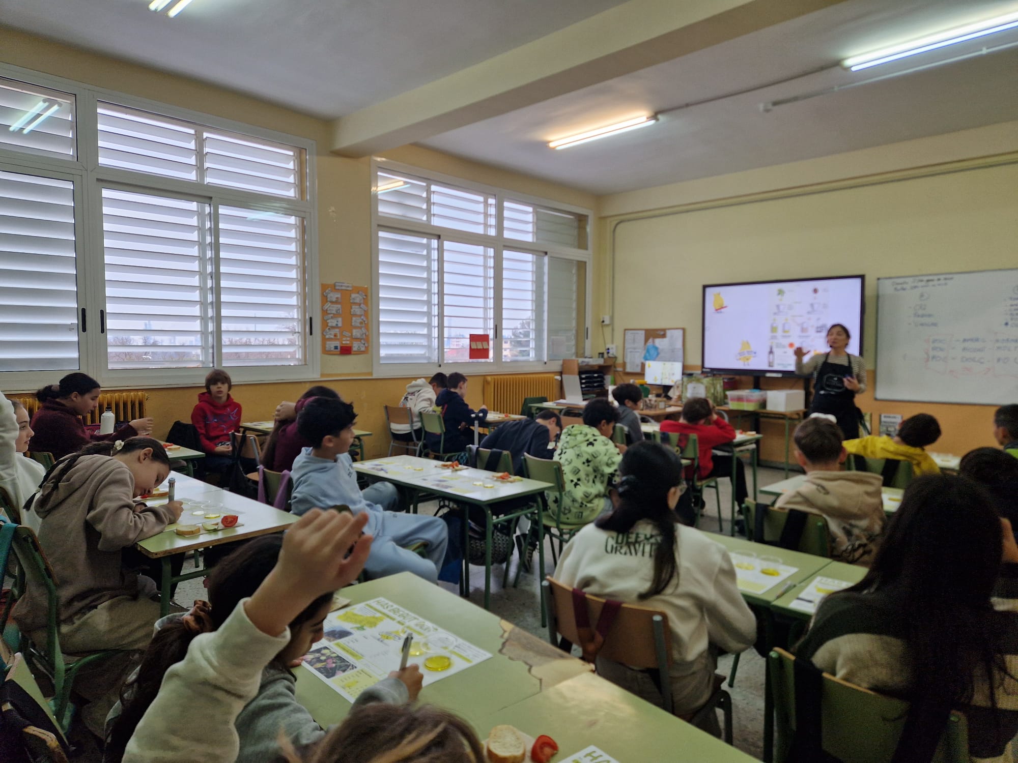 WhatsApp Image 2026-01-27 at 11.34.19