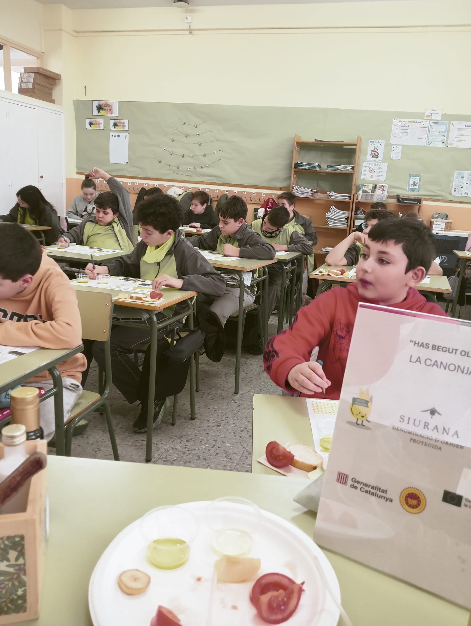 WhatsApp Image 2026-01-27 at 12.22.21 (1)