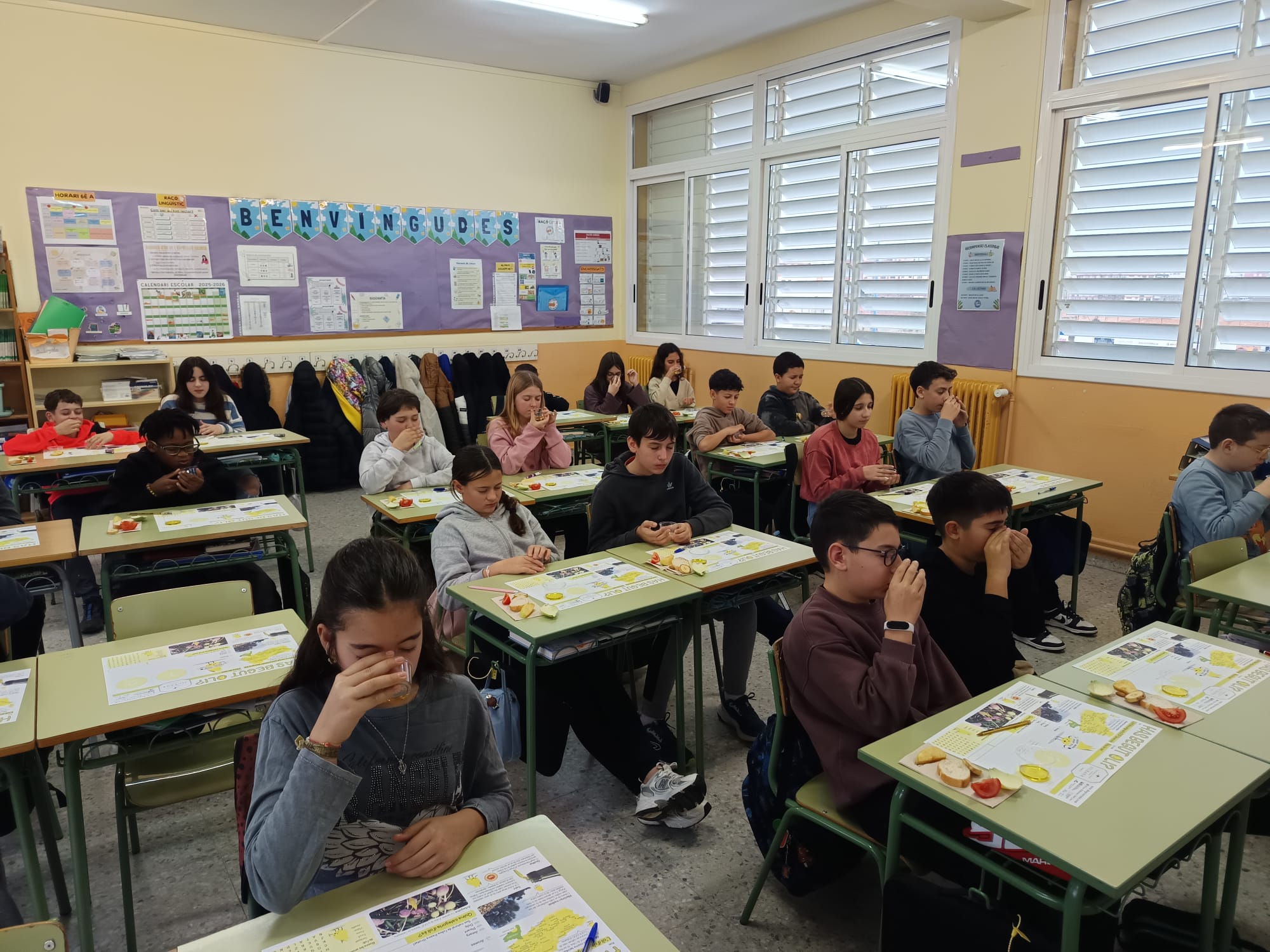 WhatsApp Image 2026-01-27 at 16.54.10 (2)