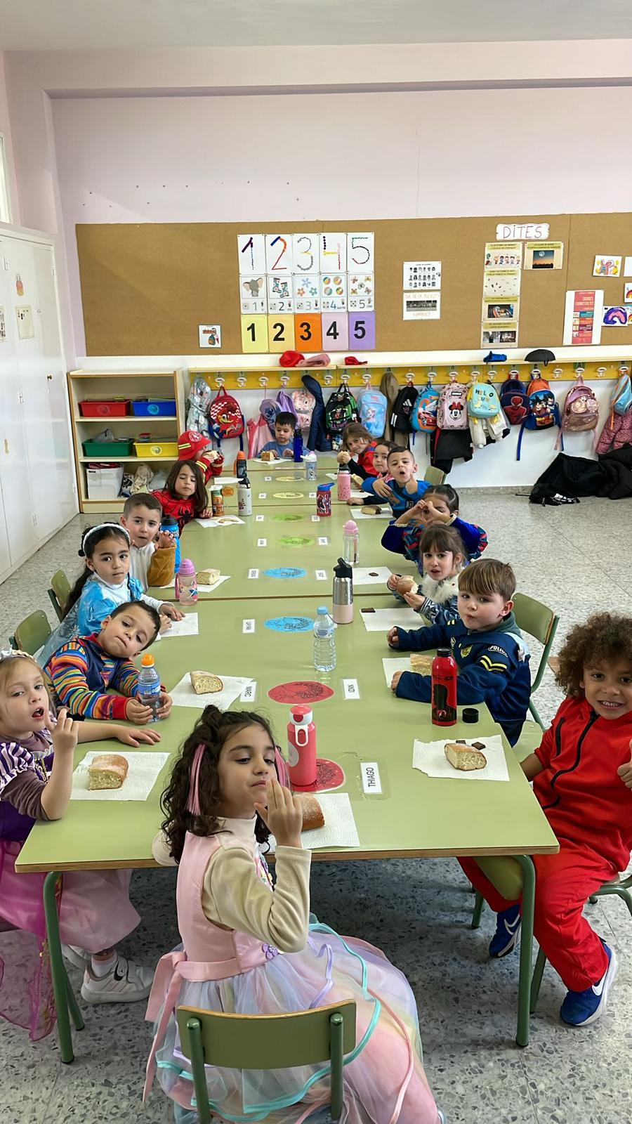 PHOTO-2026-02-13-16-03-29_2