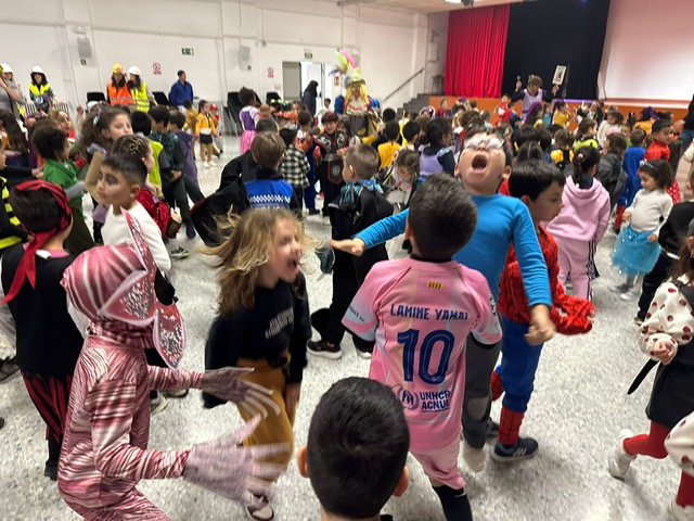 PHOTO-2026-02-13-16-05-12_1