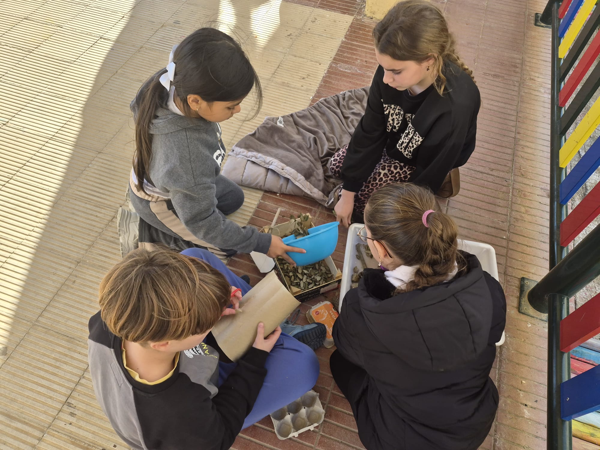 WhatsApp Image 2026-02-06 at 11.45.54